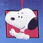 Snoopy Bio Ornament